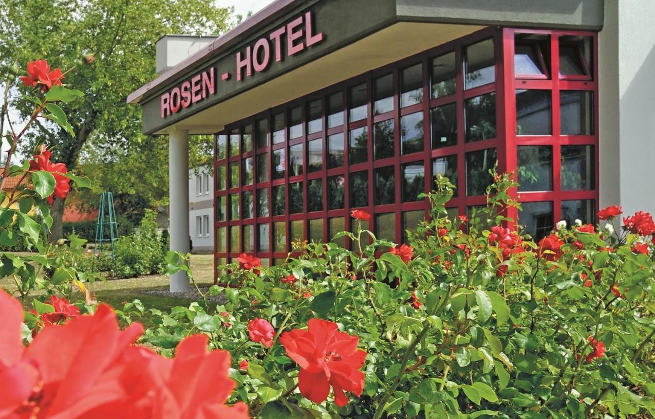 Rosen-Hotel Sangerhausen Exteriér fotografie