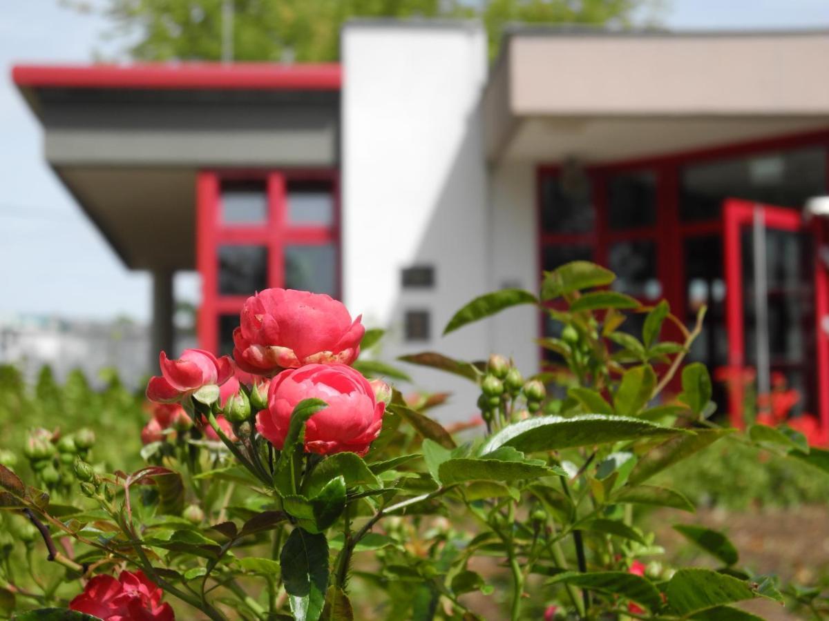 Rosen-Hotel Sangerhausen Exteriér fotografie