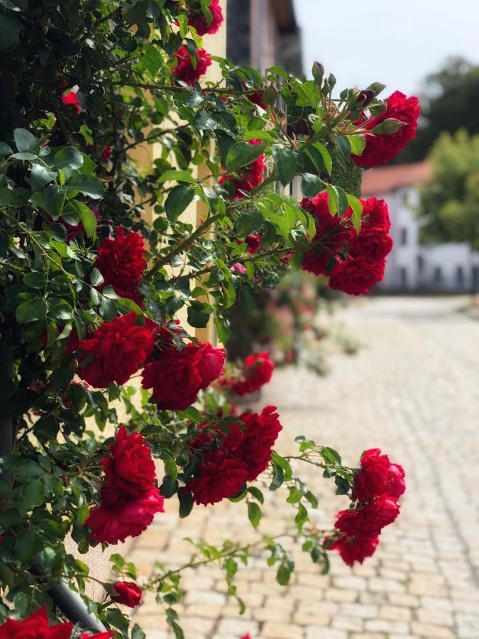 Rosen-Hotel Sangerhausen Exteriér fotografie